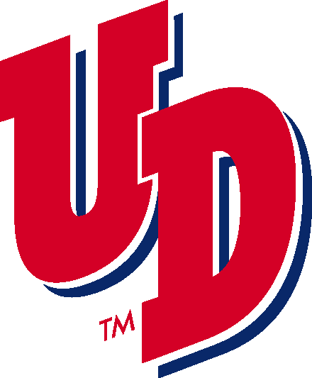 Dayton Flyers 1995-2013 Alternate Logo diy fabric transfer